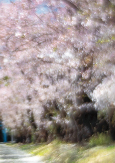 麻田奈美写真集「林檎の記憶」5 ファイナルカット-10
