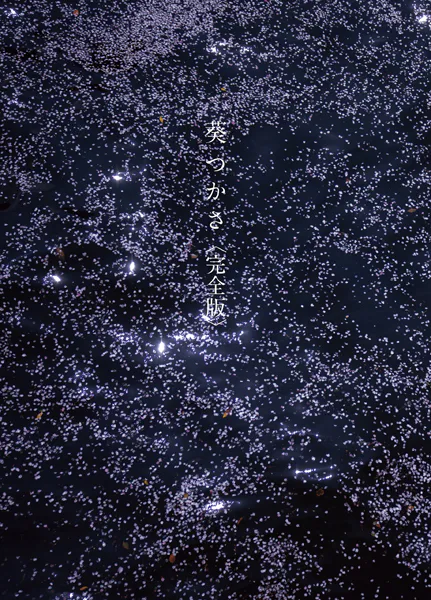 s005atoks00386