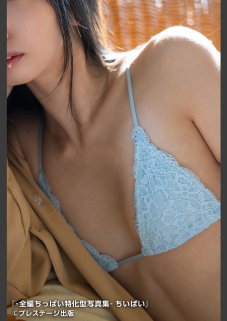 -全編ちっぱい特化型写真集- ちいぱい-4