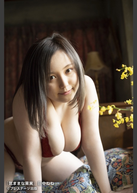 気ままな果実 田中ねね【ヌード写真集】FANZA限定特別カット付き-4