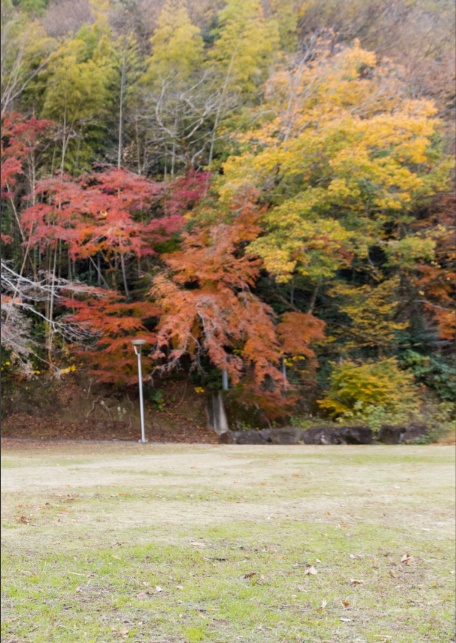 月雲よる写真集『無糖』-2