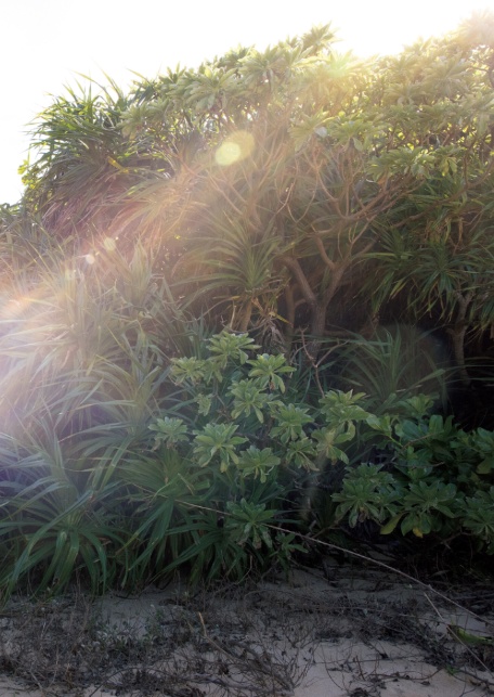 【電子版だけの特典カットつき！】街山みほ写真集『Eden』-2