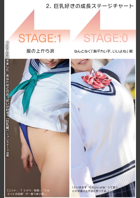 100人に聞きました あなたはどのおっぱいが好き？【巨乳編】-7